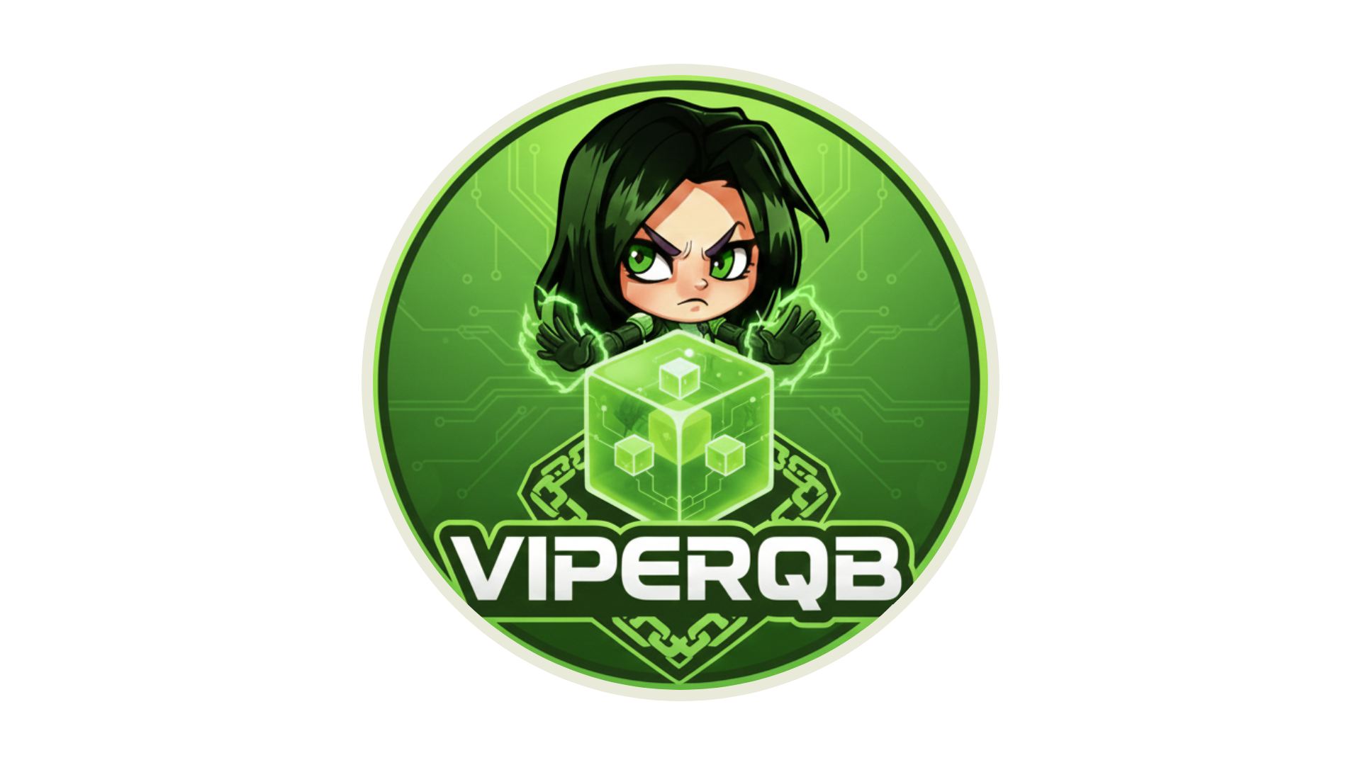 ViperQB Logo